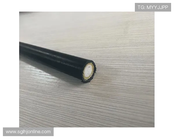 playace电子产品带你体验极致的科技创新与高品质享受 playace电子产品带你体验极致的科技创新与高品质享受