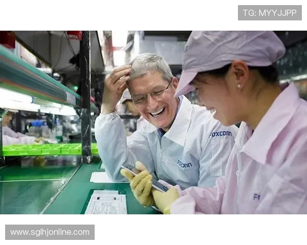 多宝电子在电子元器件供应链中的核心地位与合作伙伴关系分析