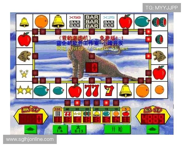 水果老虎机单机版下载最新版本，轻松体验丰富多彩的游戏乐趣