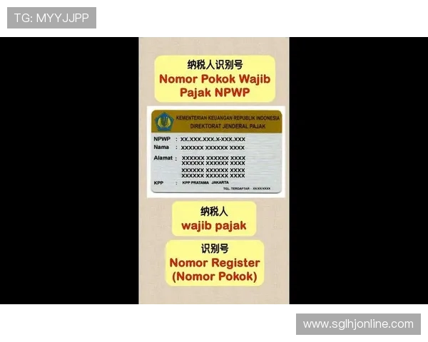 MG游戏汉化常用词汇与术语解析，帮助新手快速理解汉化内容