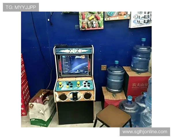 玩老虎机被抓怎么处罚：未成年人涉赌的法律责任与处罚措施