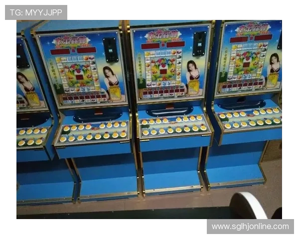 电子老虎机小平台客服支持，全天在线解答玩家疑问