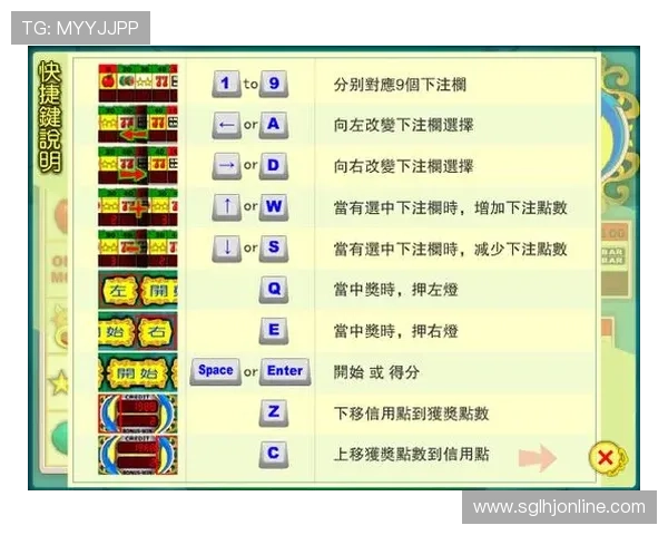 2024年最火爆的网络老虎机游戏平台排行榜，带你体验高收益的娱乐新体验