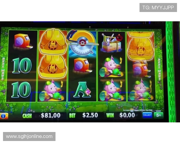 打老虎机100包赢的方法详解，掌握这些技巧轻松提高中奖率