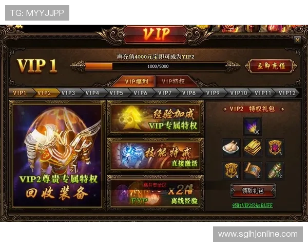如何利用MG电子官网的VIP系统提升游戏体验和获得专属福利 如何利用MG电子官网的VIP系统提升游戏体验和获得专属福利