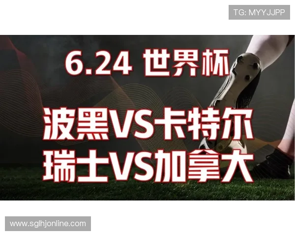卡塔尔vs波黑比赛赛后评分及关键球员表现全面总结与点评 卡塔尔vs波黑比赛赛后评分及关键球员表现全面总结与点评